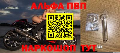 a pvp Гагарин
