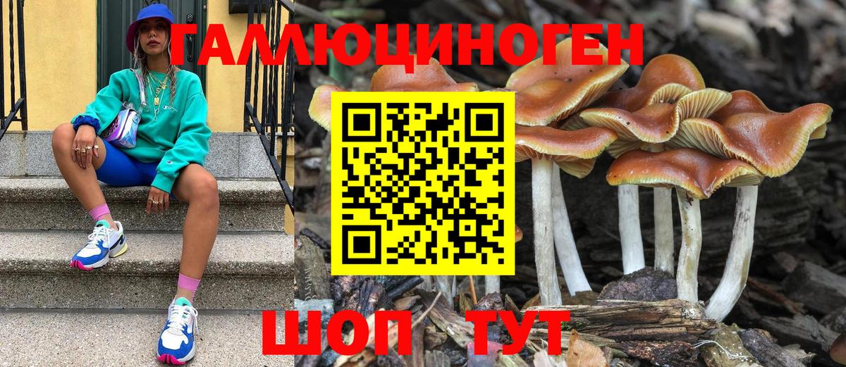 Псилоцибиновые грибы Cubensis Касимов